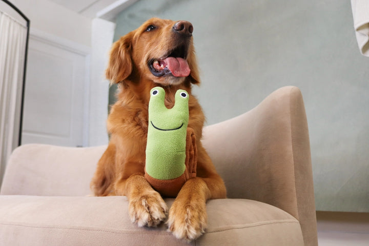 Snail Roll-Up Snuffle Toy