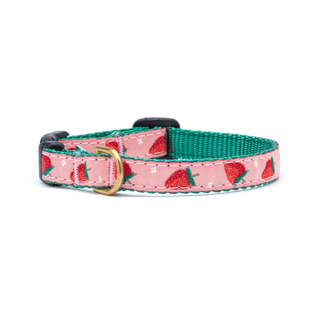 Strawberry Fields Dog Collar