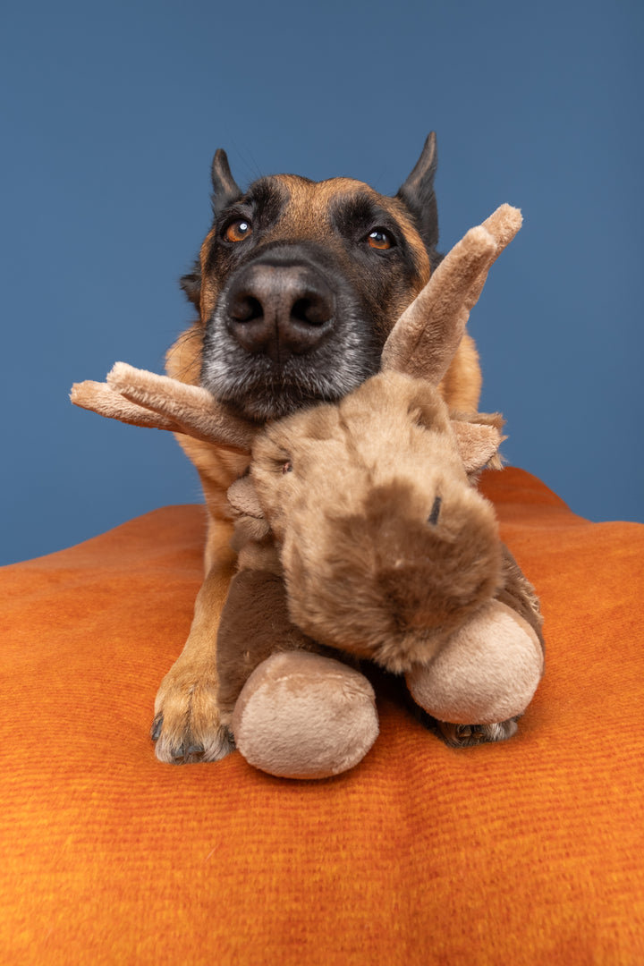 Fluff & Tuff Trax Moose