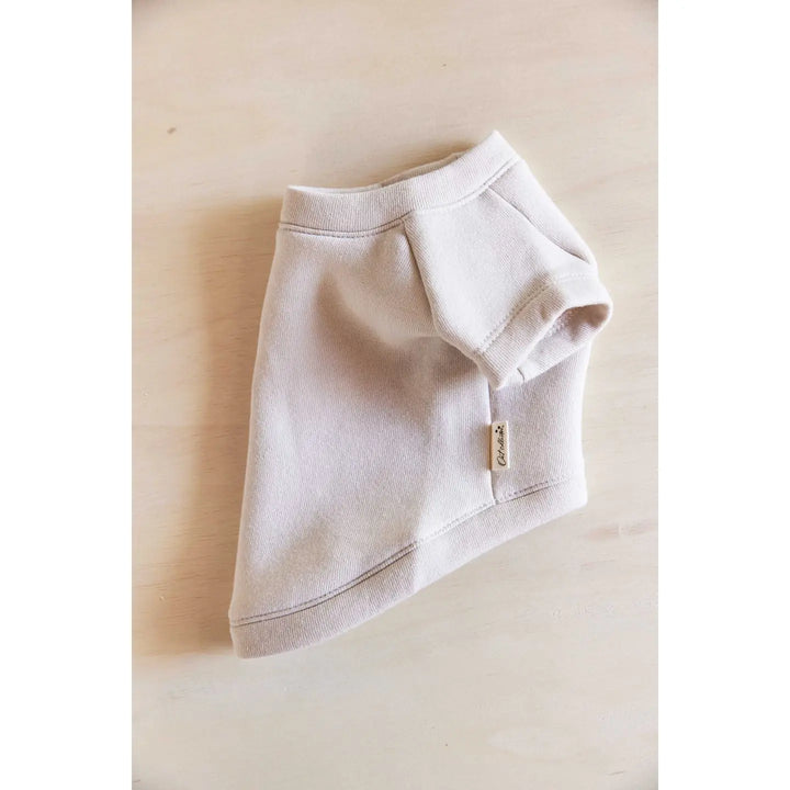 USA Graphic Pet Sweatshirt
