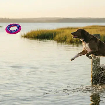 BayDog Wave Skipper