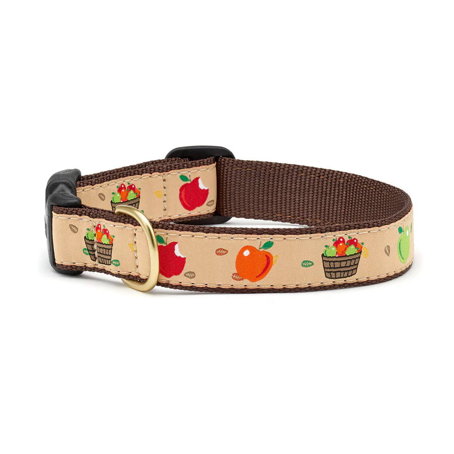 Apple of My Eye Dog Collar