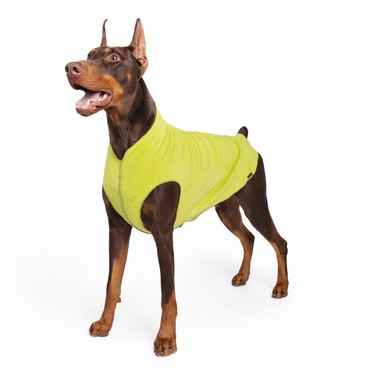 Gold Paw Stretch Fleece - Avocado