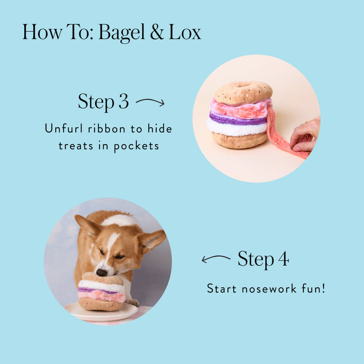 Bagel & Lox Snuffle Dog Toy