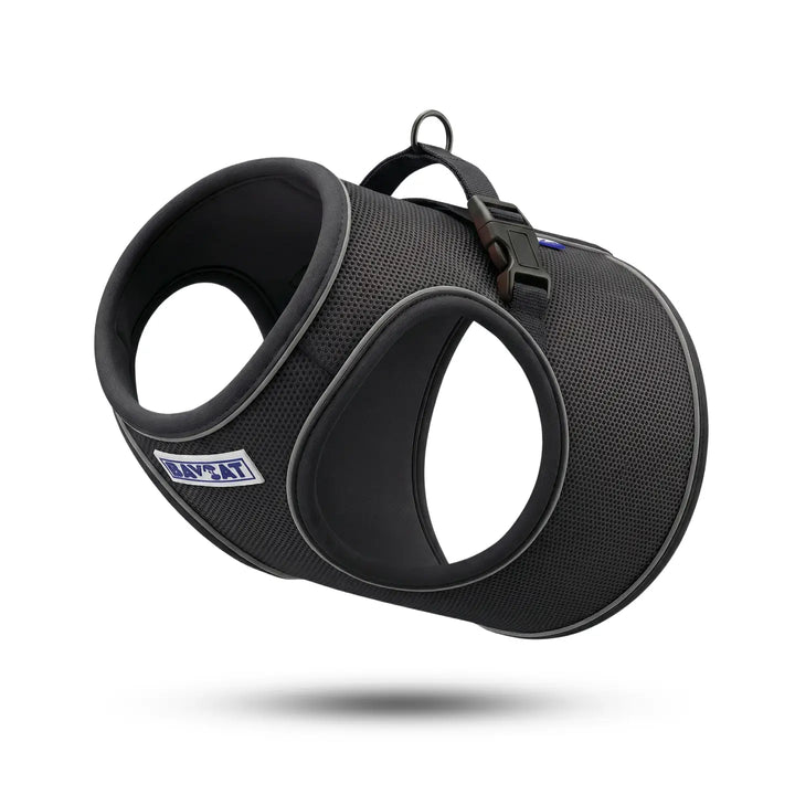 BayCat Harness & Leash Set