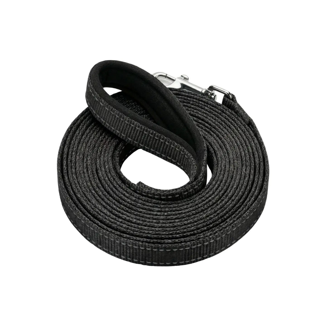 BayCat Harness & Leash Set