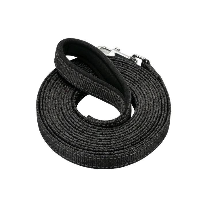 BayCat Harness & Leash Set