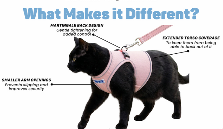 BayCat Harness & Leash Set
