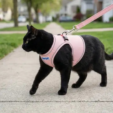 BayCat Harness & Leash Set