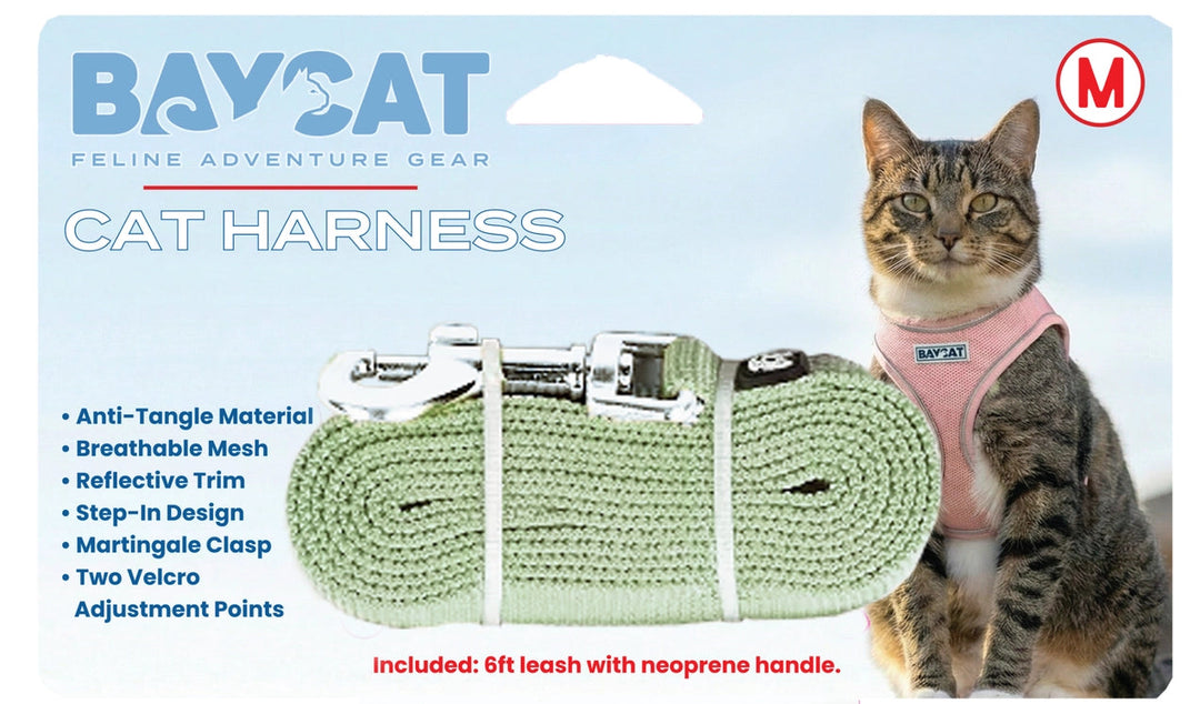 BayCat Harness & Leash Set