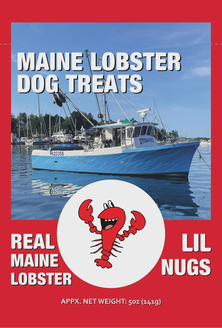 Real Maine Lobster Dog Treats
