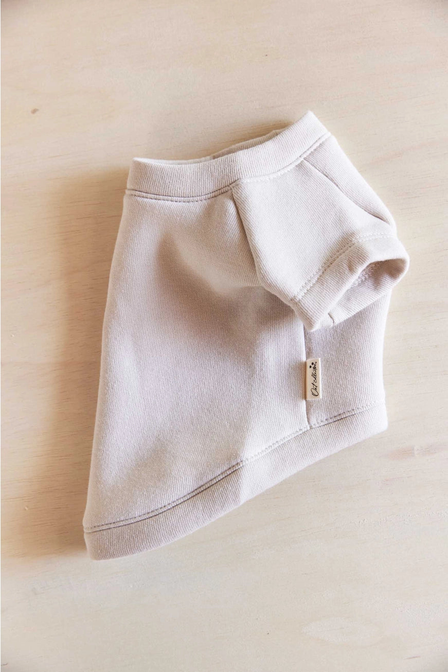 Beach Graphic Pet Sweatshirt