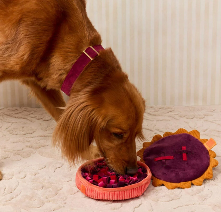 Berry Pie Snuffle Dog Toy