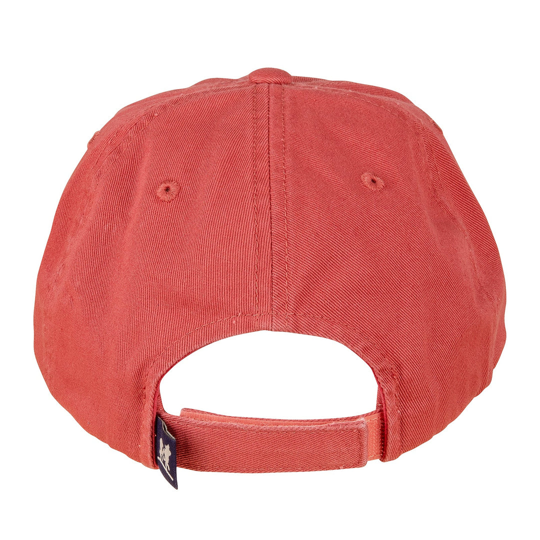 Labrador Dog Hat