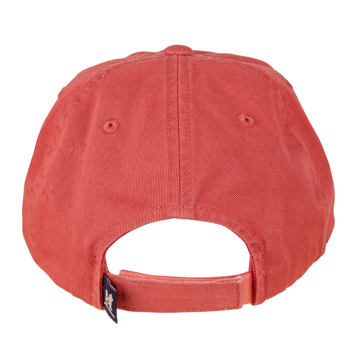 Labrador Dog Hat