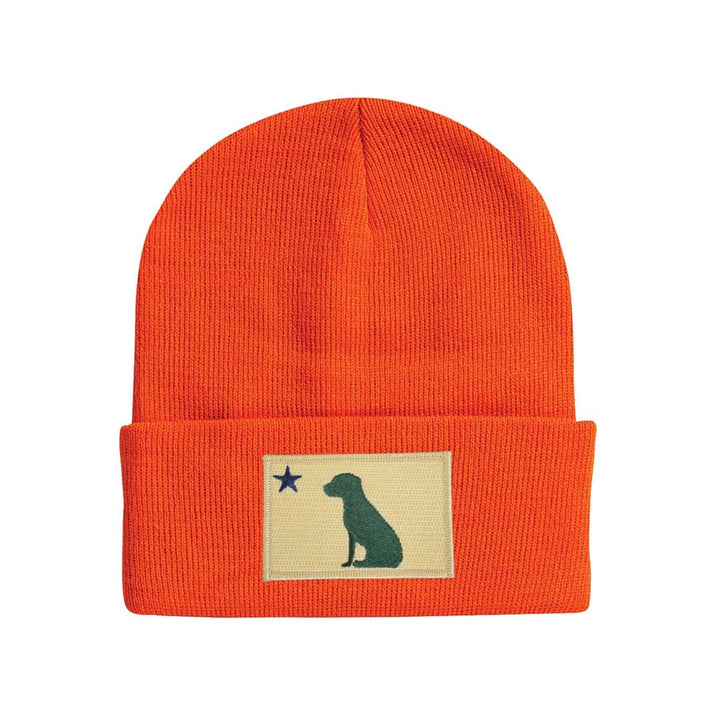 Dog 1901 Maine Beanie for Dog Lovers