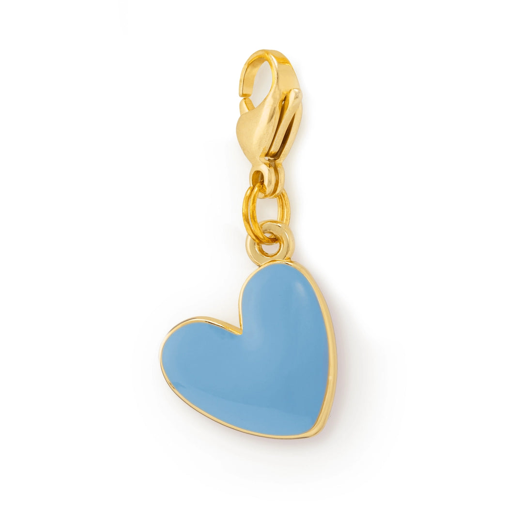 The Foggy Dog Collar Charm Collection