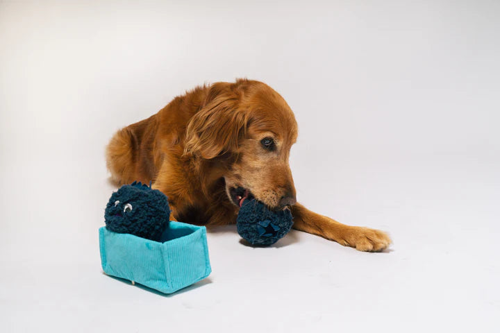 Picked Fresh Blue Beg-rries Dog Toy