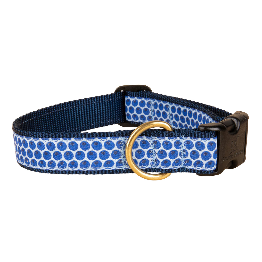 Blueberries Dog Collar