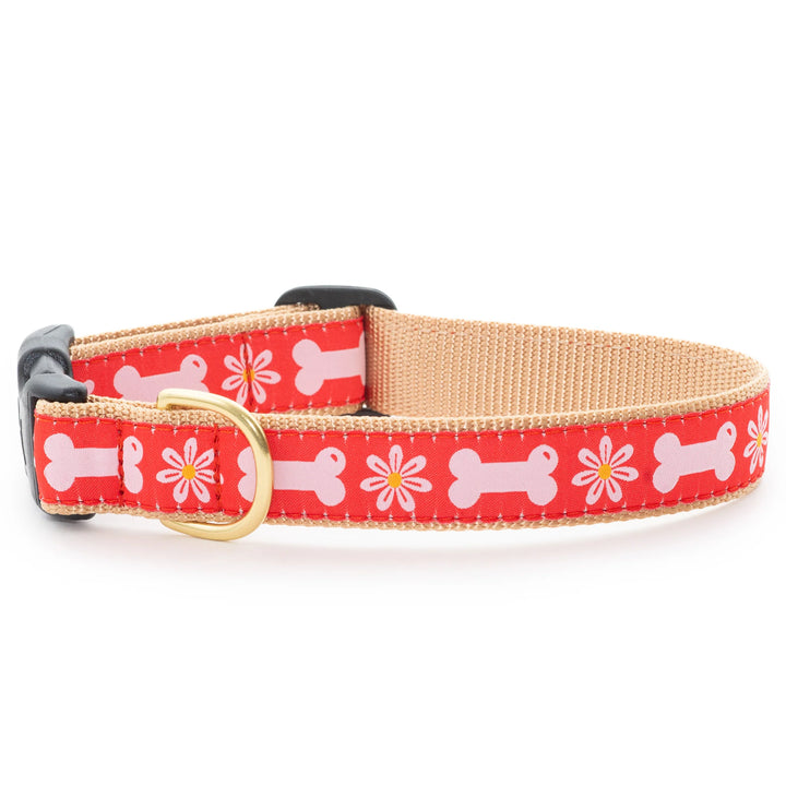 Bones & Blooms Dog Collar