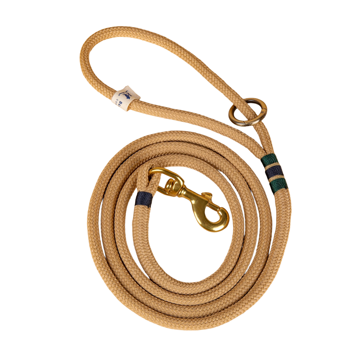 Maine Dock Line Dog Lead - Assorted Colors