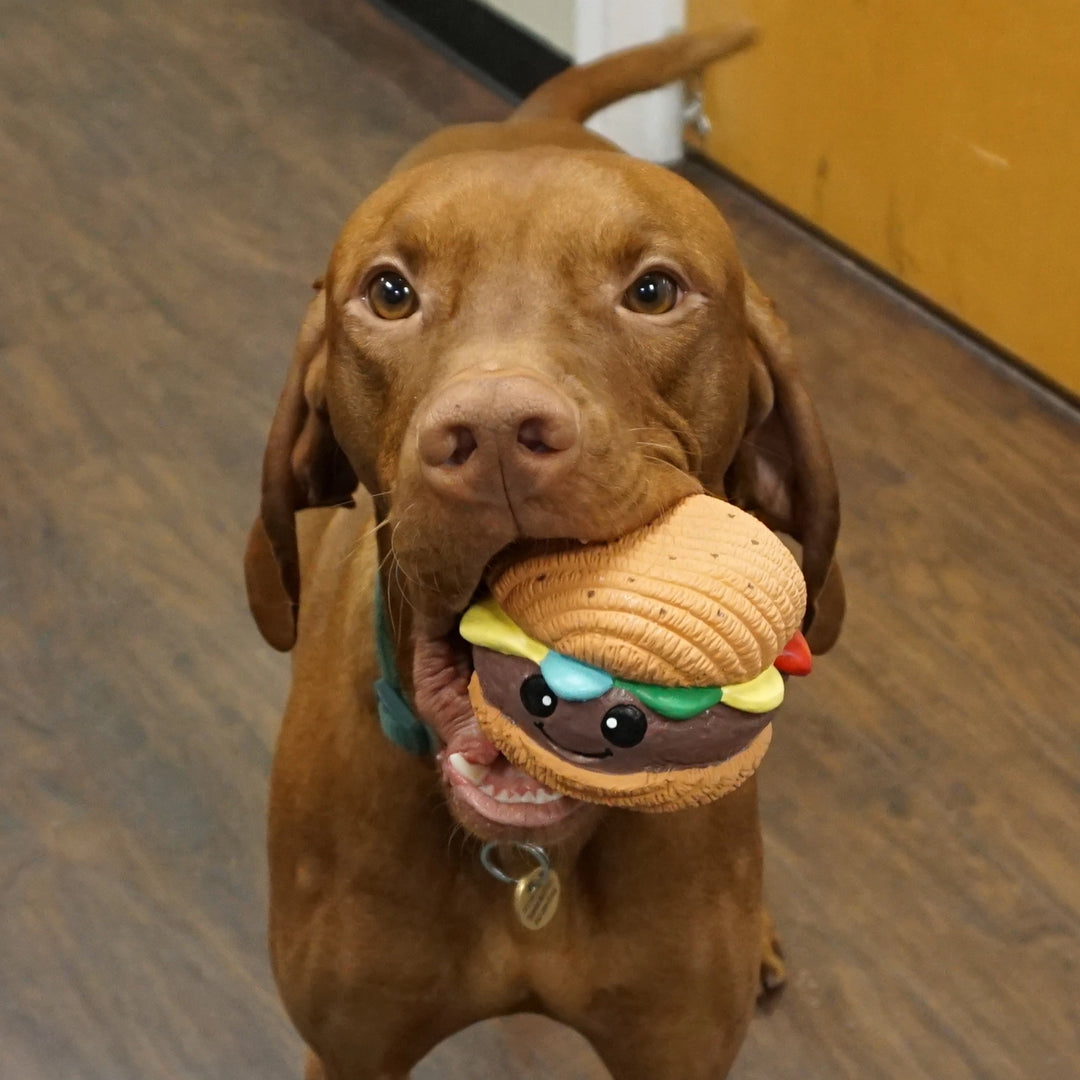 Big Buns Hamburger Ruff-Tex Dog Toy