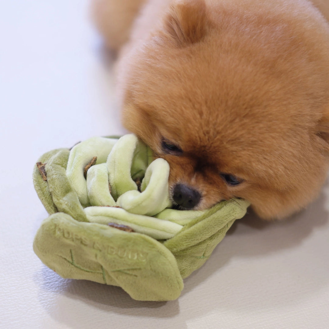 Snuffle Cabbage Dog Toy