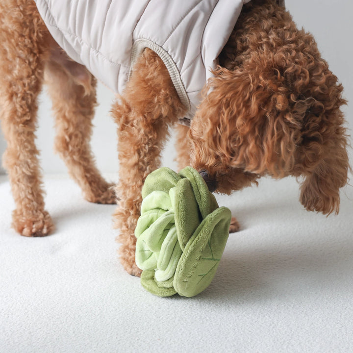 Snuffle Cabbage Dog Toy