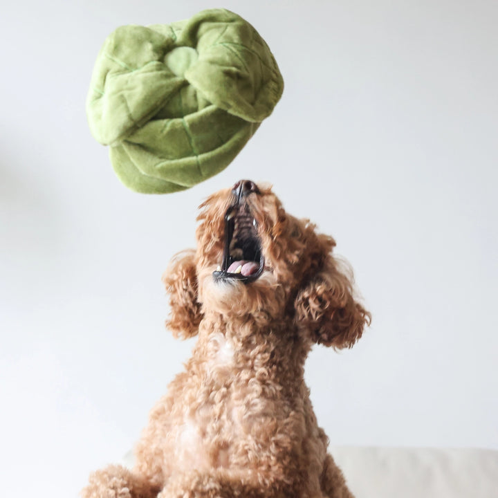 Snuffle Cabbage Dog Toy