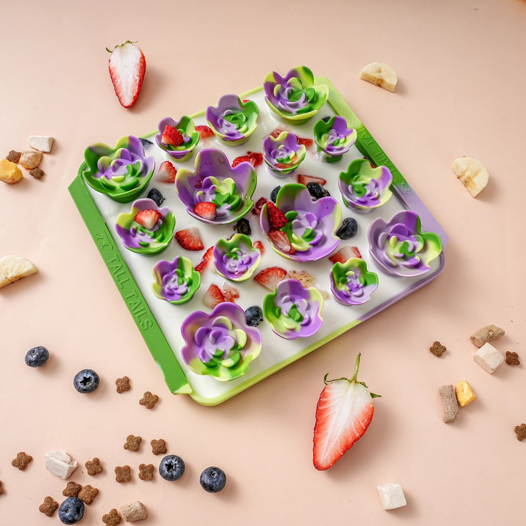 Foraging Mat - Succulent Garden