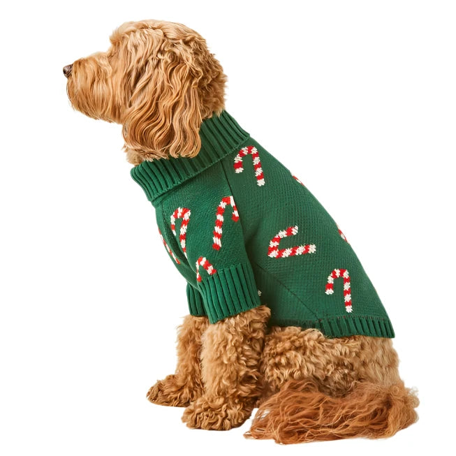 Candy Cane Dog Sweater