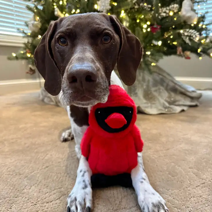 Animated Cardinal Dog Toy