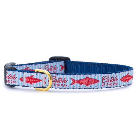 Catch of the Day Dog Collar