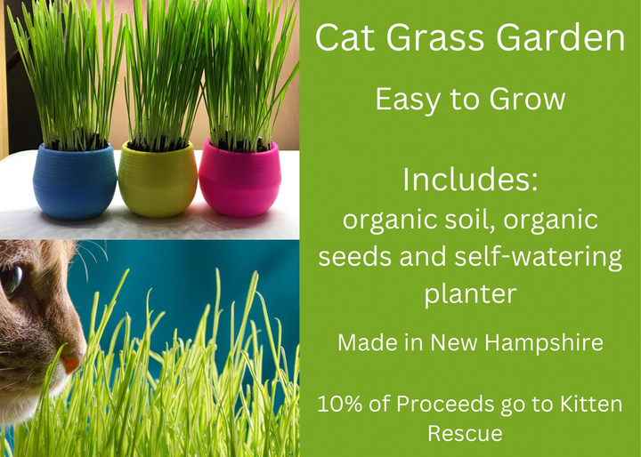 Organic Cat Grass Balls Grow Kit