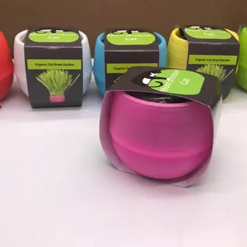 Organic Cat Grass Balls Grow Kit