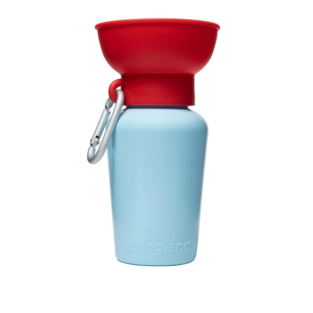Springer Travel Water Bottle
