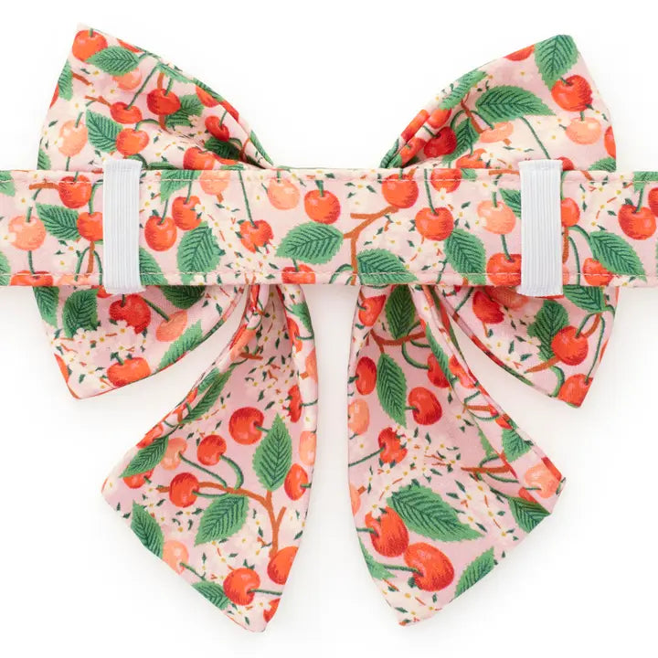 Cherry Blossom Dog Bow