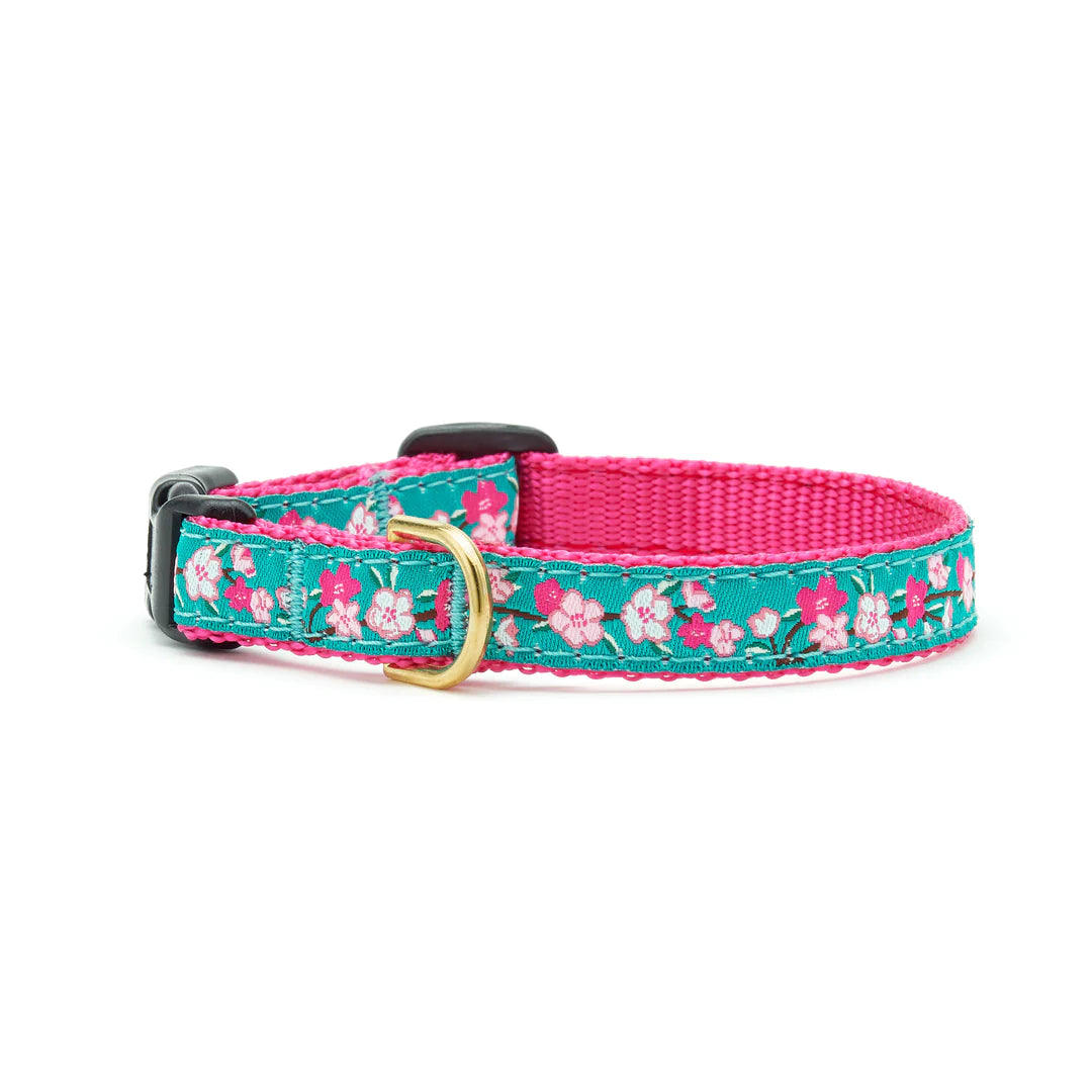Cherry Blossom Dog Collar