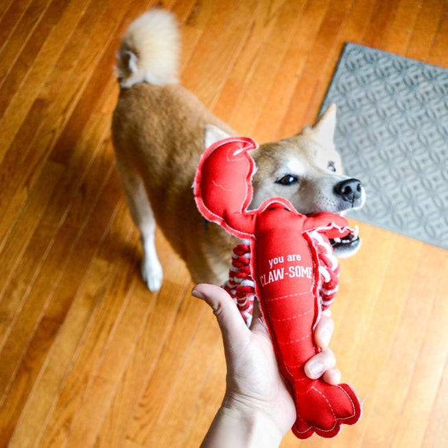 Claw-some Lobster Dog Toy