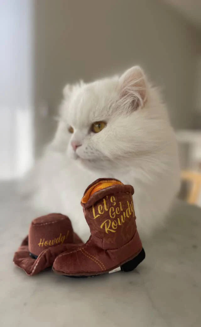 Kitty Cowboy Hat & Boot Cat Toys - 2-Pack