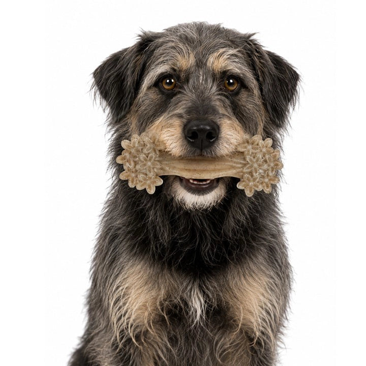 Daisy Bone Nylon Dog Chew