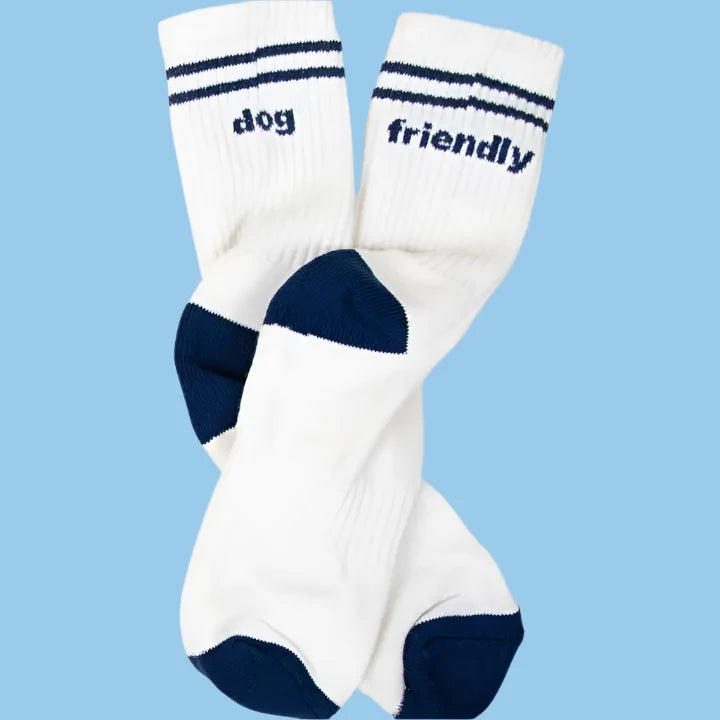 Dog Friendly Socks for Dog Lovers