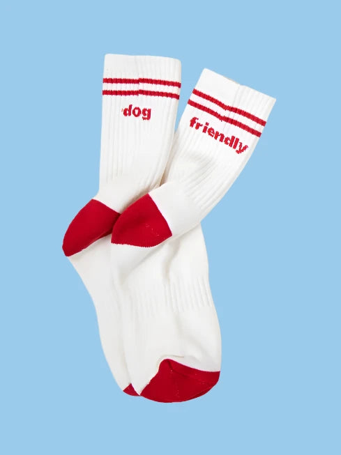 Dog Friendly Socks for Dog Lovers