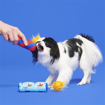 Fireworks Plush Dog Toy