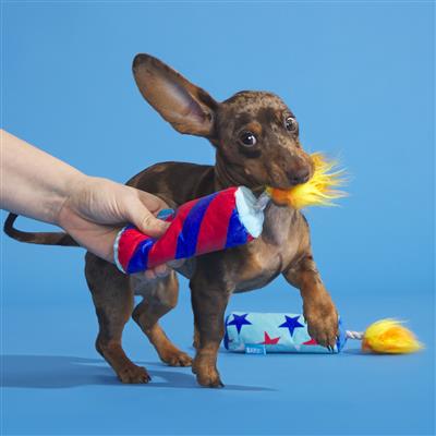 Fireworks Plush Dog Toy