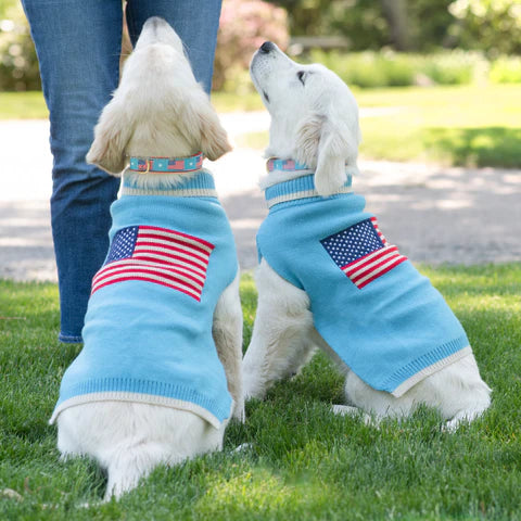 Flag Day Dog Sweater