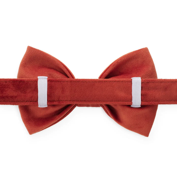 Football Embroidered Dog Bow Tie