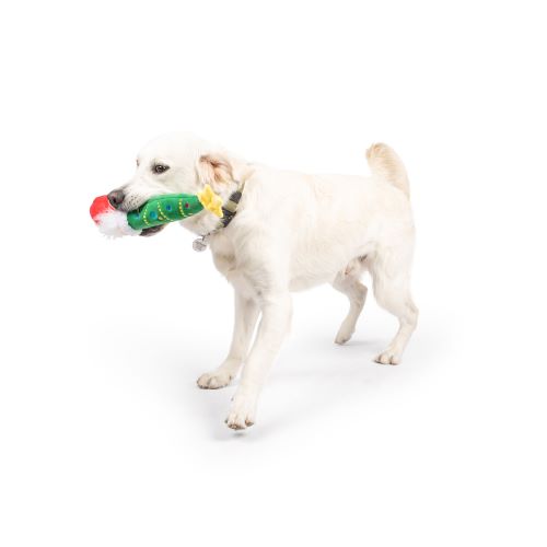 Let's Get Lit Gnome Dog Toy