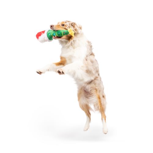 Let's Get Lit Gnome Dog Toy