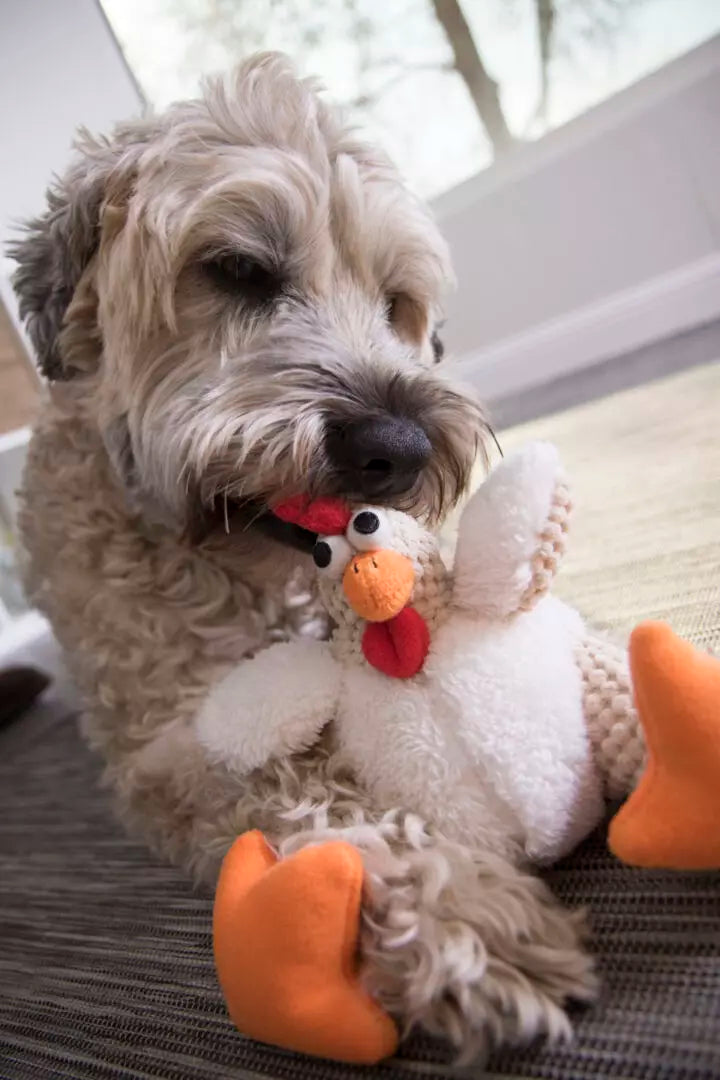 Best stuffed dog toys shop